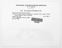 Image Associated With the Occurence